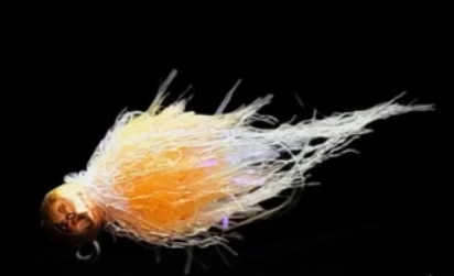 Deadly Egg Fly!